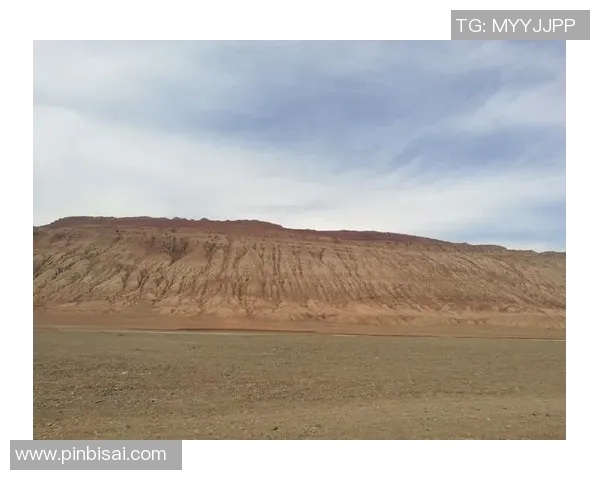 史鸿飞的传奇人生与奋斗历程揭示了时代变迁中的人性光辉与坚韧不拔的精神